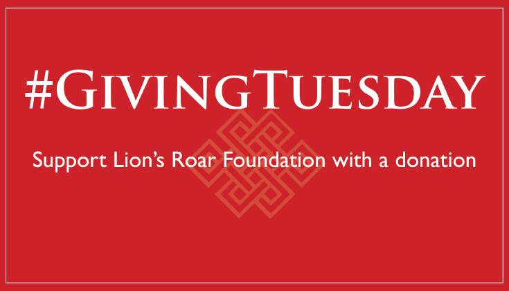 Giving Tuesday, Lion's Roar, Foundation