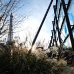 A New Year’s Resolution for the Planet