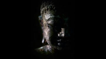 Suffering, Lion's Roar, Buddhism, Noble Truth, Buddha