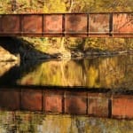 Rich colors, light, and textures