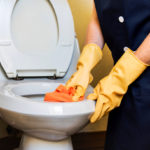 Just Clean the Toilet