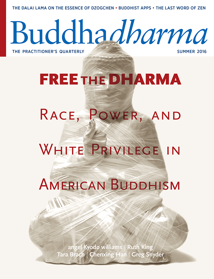 Buddhadharma-Summer-2016-Cover