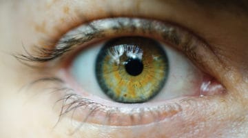 Human eye.