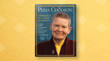 Pema Chodron, A special collector's edition.