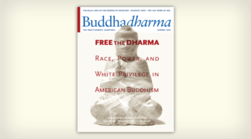 Buddhadharma Cover, "Free the Dharma."