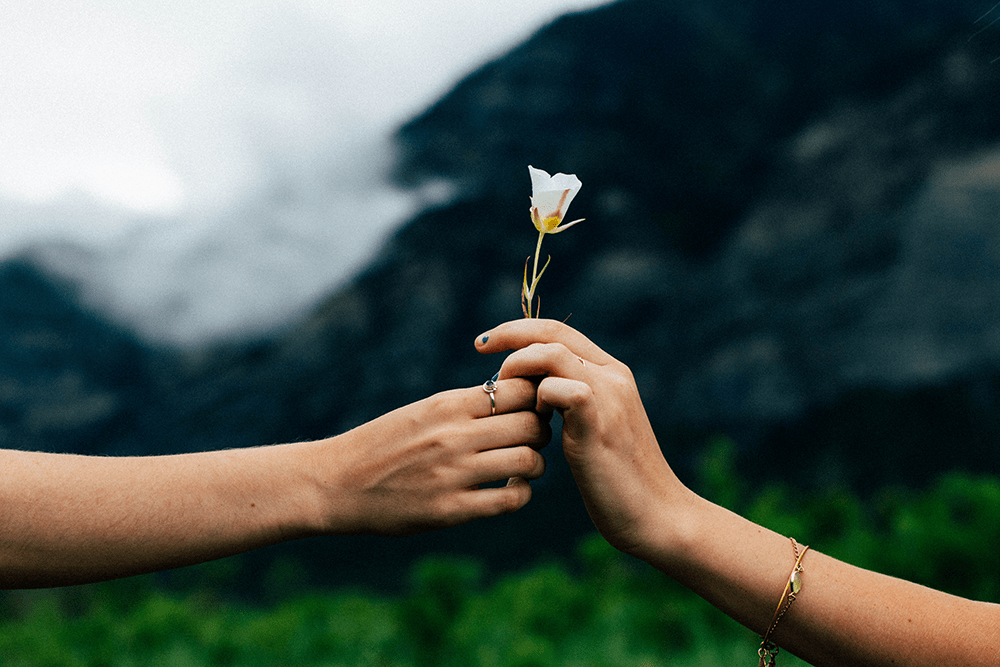 Two people reaching out towards each other, passing a flower back and forth.