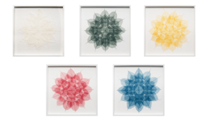 The five mandalas, created by Miya Ando, are inspired by Tibetan prayer flags and created using leaves from the Bodhi tree.