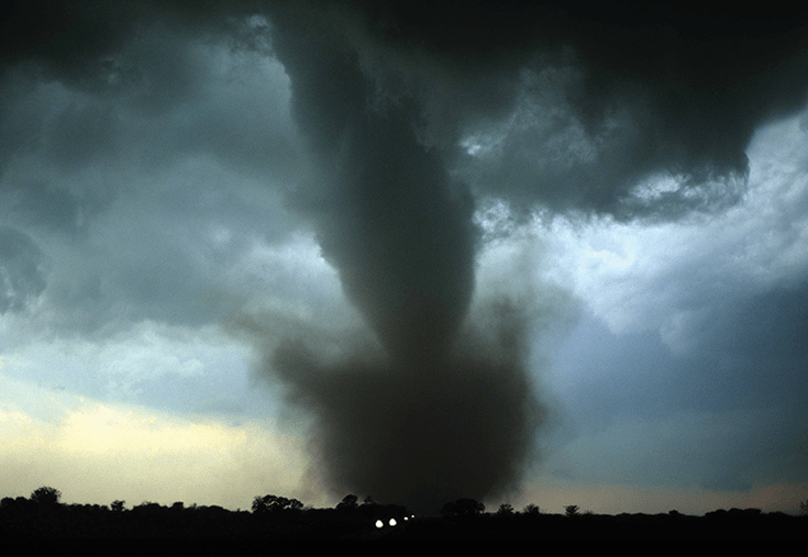 Photo by Howard Bluestein / Science Photo Library.
