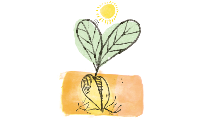 Illustration by Nolan Pelletier.