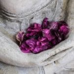Glimpses of Awakening