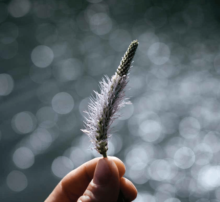 Photo by David Gabriel Fischer.  Person holding a feather.