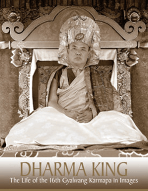 dharma-king