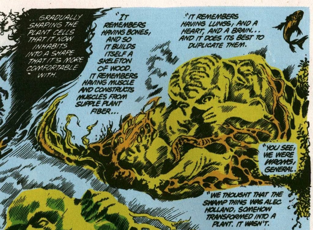 swamp thing alan moore box set