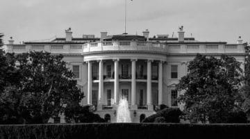 The white house