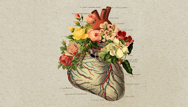 Art by Wednesday Morning.