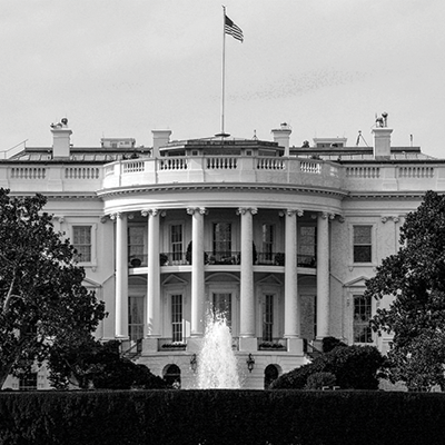 whitehouseseo