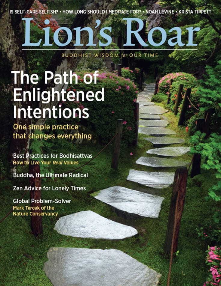 cover-17