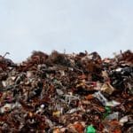 Loving-kindness for Litterbugs