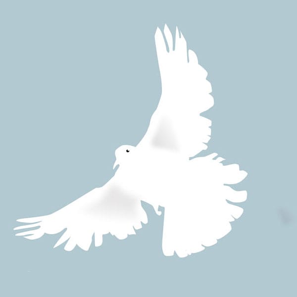choosing-peace-dove