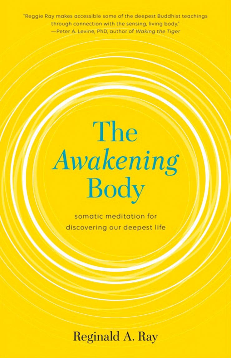 the-awakening-body-cover