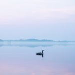 Looking Deeply With the Three Dharma Seals: Impermanence, No-self, and Nirvana