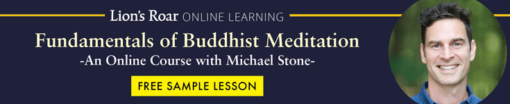 Learn to Meditate Course with Michael Stone