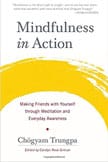 mindfulness-in-action