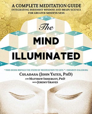 the-mind-illuminated