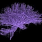 Where Buddhism and Science Meet: Teachings, Commentary, and News