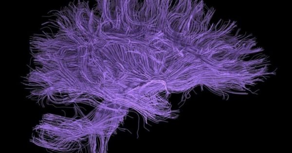 Where Buddhism And Science Meet Teachings Commentary And - 