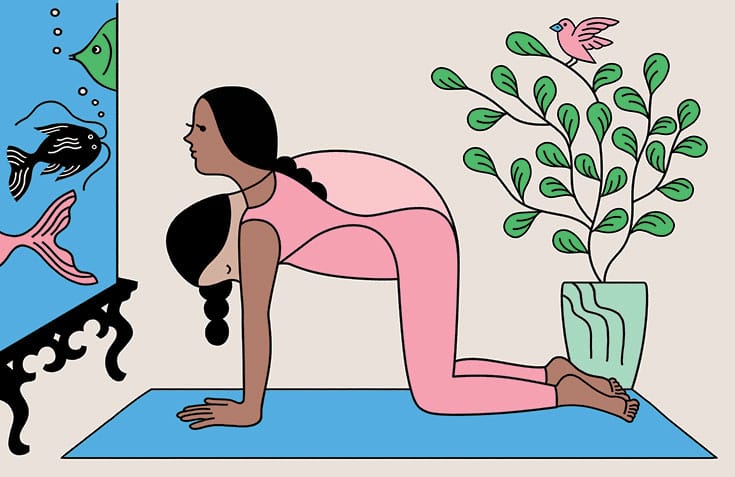 Illustrations of woman doing cat and cow yoga poses