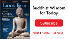 lr_webads_Mar17_leftcorner231x133