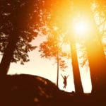 3 Questions That Bring Us Back to Now