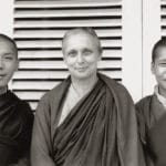Buddhadharma Book Briefs for Summer 2017