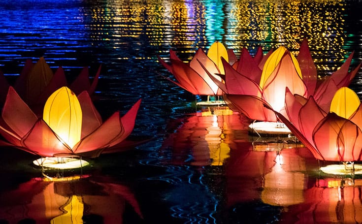 vesak-lotus