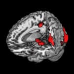 Buddhist researchers seek to reveal link between heart, mind