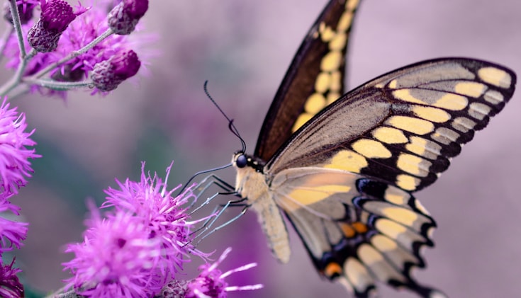 The magic moment in meditation