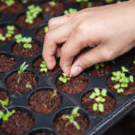 How Endings Make Room for Beginnings