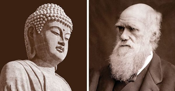 Why Buddhism Is True Lions Roar - 