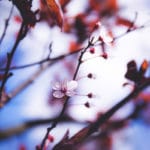 Seasons of Awakening