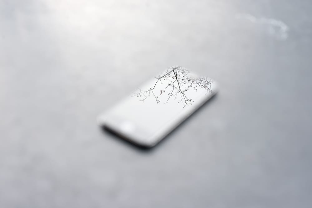 Phone reflecting tree branches.
