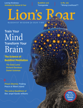 Lions Roar-Jan-2018-Cover-hover