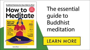 essay on meditation how essential
