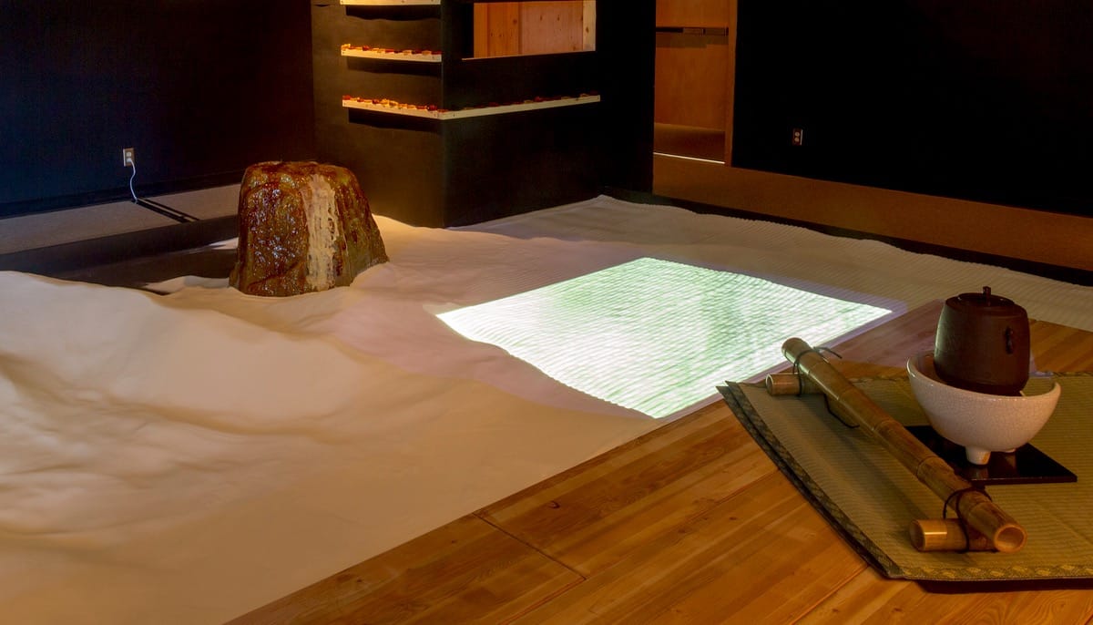 Sugar beet zen garden.