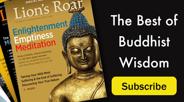 Lion's Roar Subscription Ad