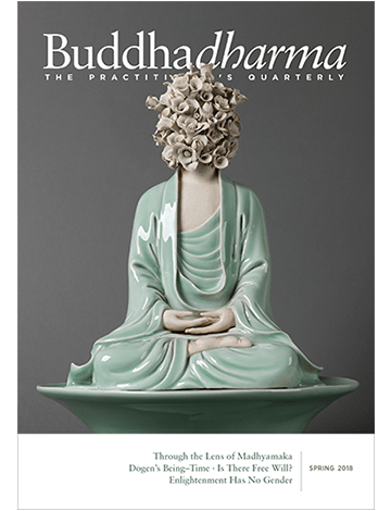 Buddhadharma Winter 2016