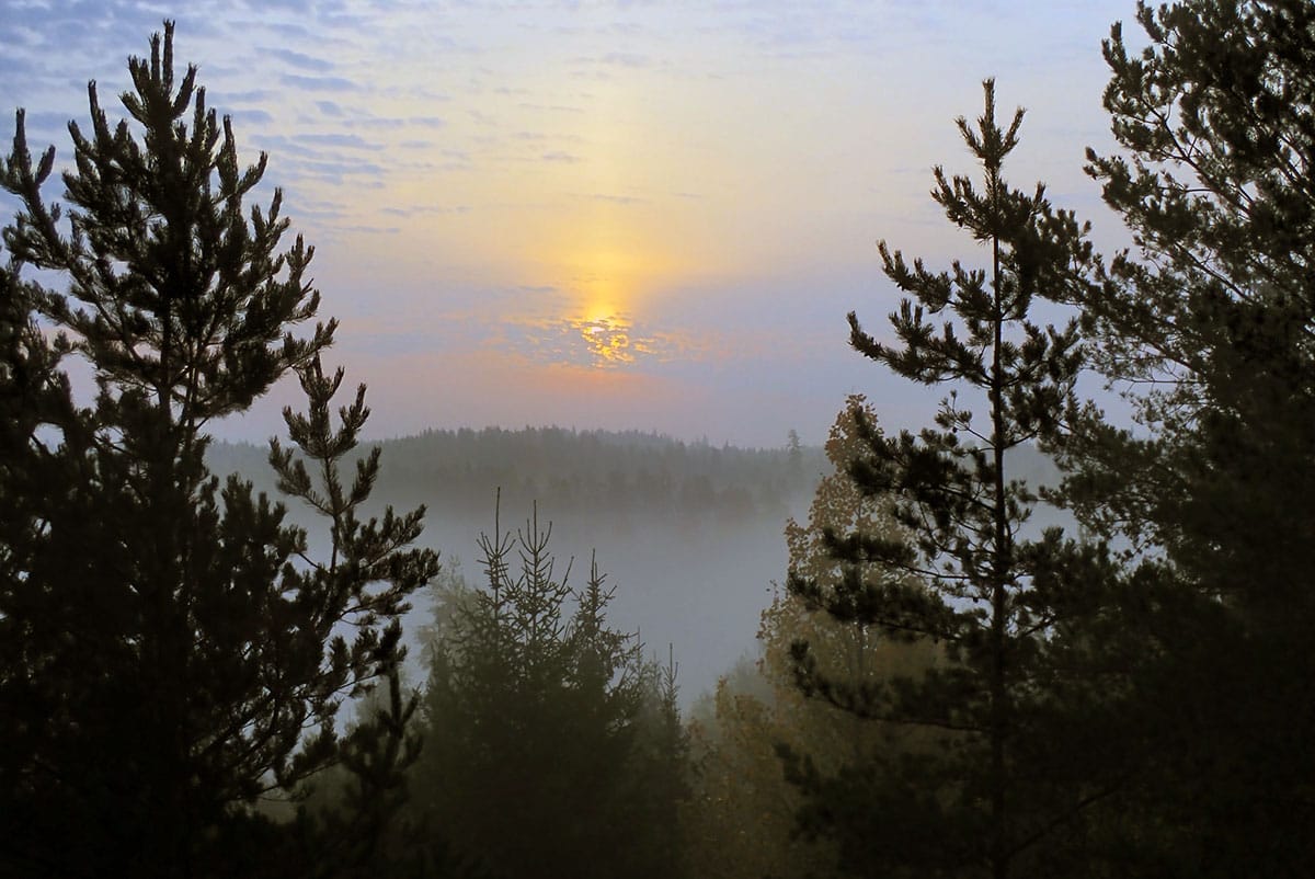 A sun peeking through the clouds, overtop a field of trees.