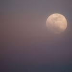 What If Our Delusions Aren’t a Barrier to Enlightenment?