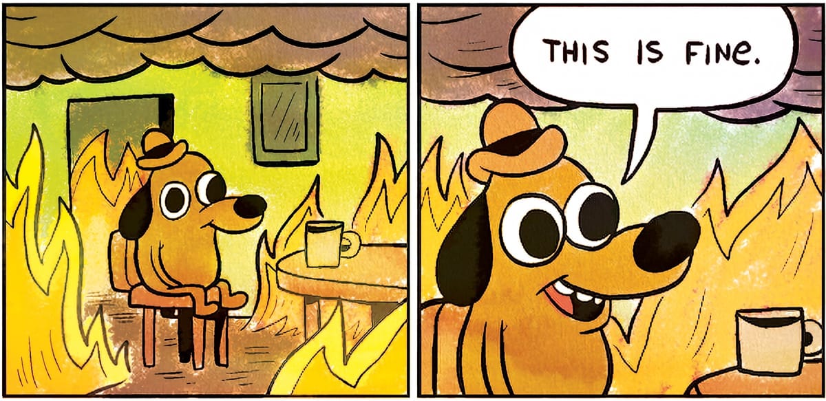 "This is Fine" comic strip. A dog sits in a room that is on fire, in the second panel saying "This is fine."