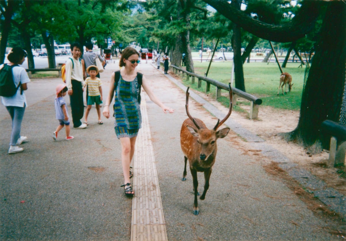 Andrea touching a deer in Nara.